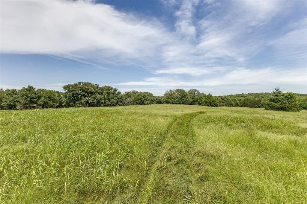 11.7 acres in Cooke County gallery image 4