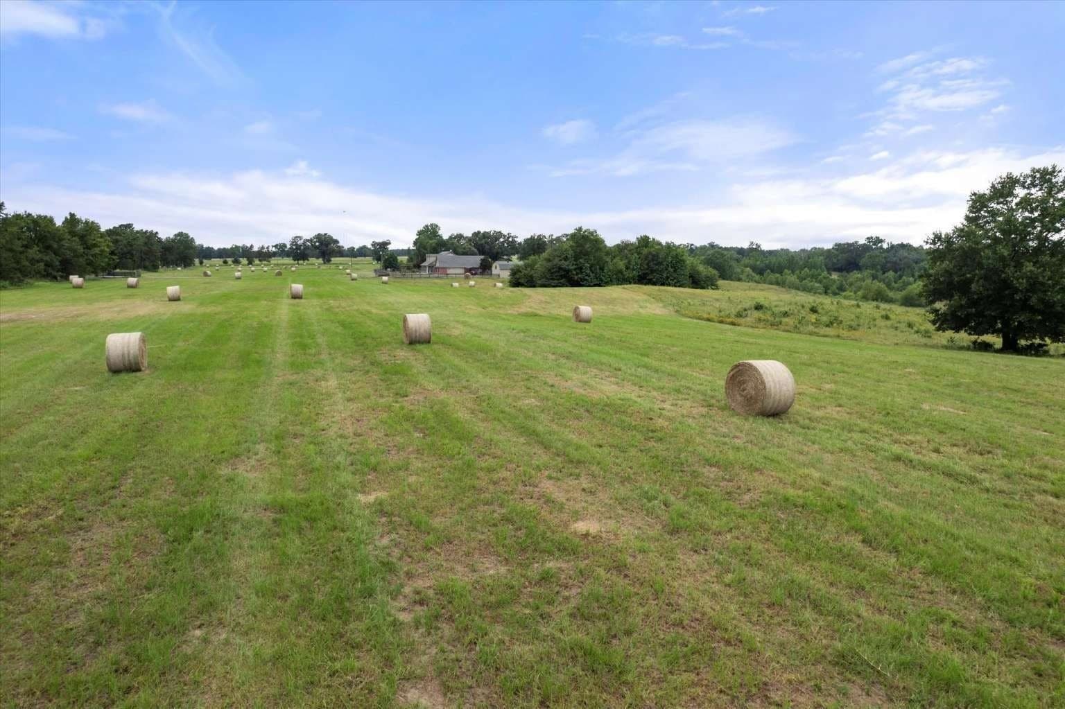 57.6 acres in Franklin (TX) County - photo 24