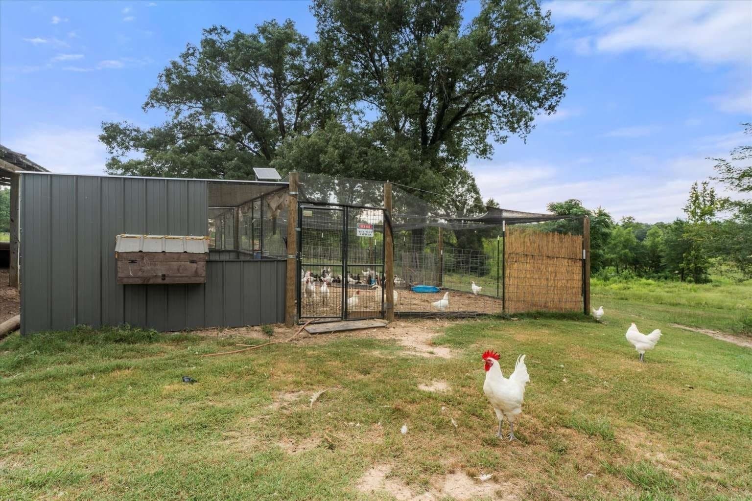 57.6 acres in Franklin (TX) County - photo 15