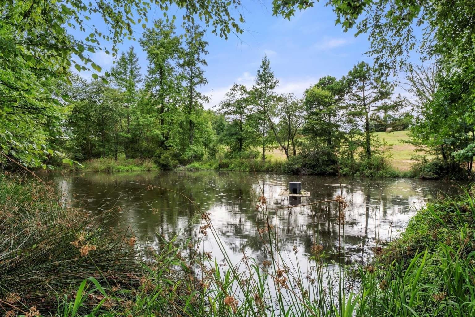 57.6 acres in Franklin (TX) County - photo 16