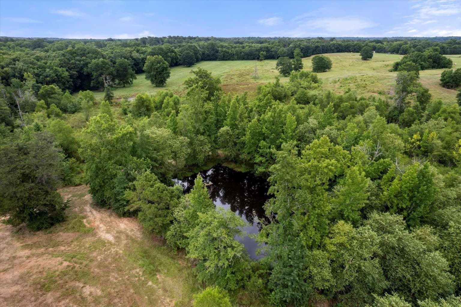 57.6 acres in Franklin (TX) County - photo 17