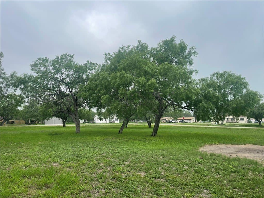 0.54 acres in San Patricio County gallery image 4