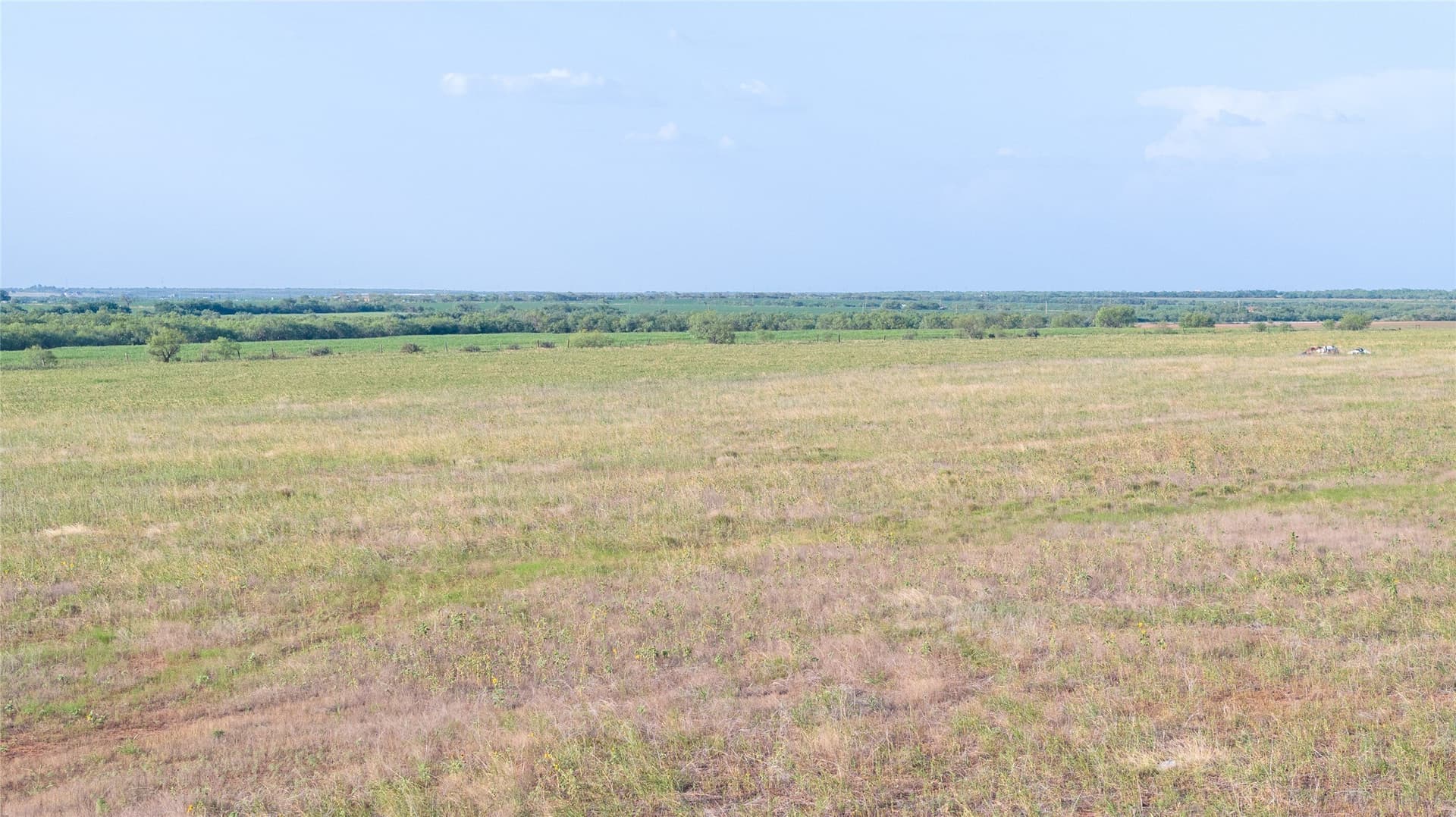 9.98 acres in Taylor County - photo 7