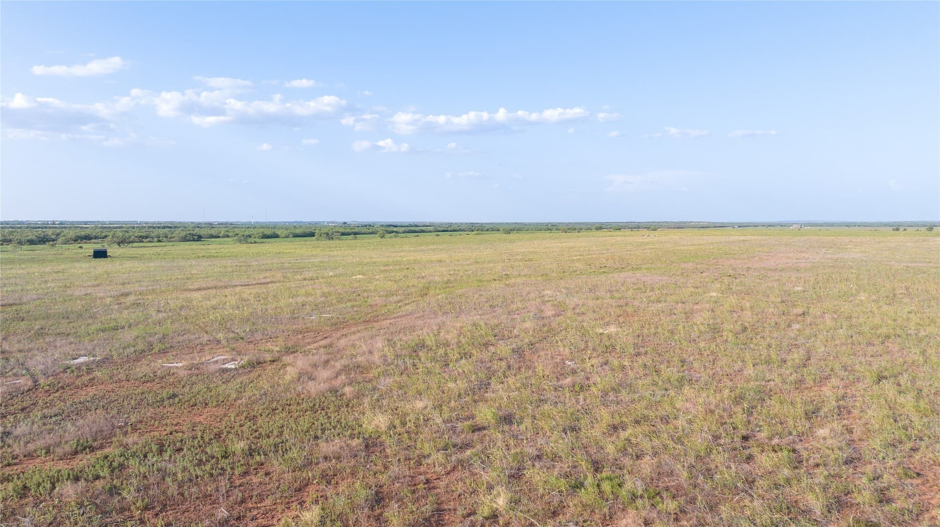 9.98 acres in Taylor County - photo 5
