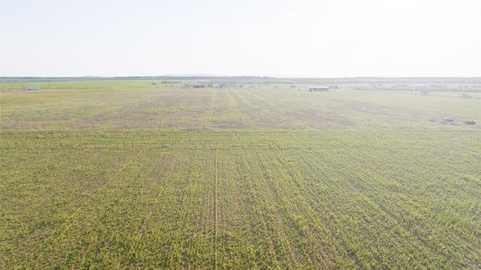 9.98 acres in Taylor County gallery image 3