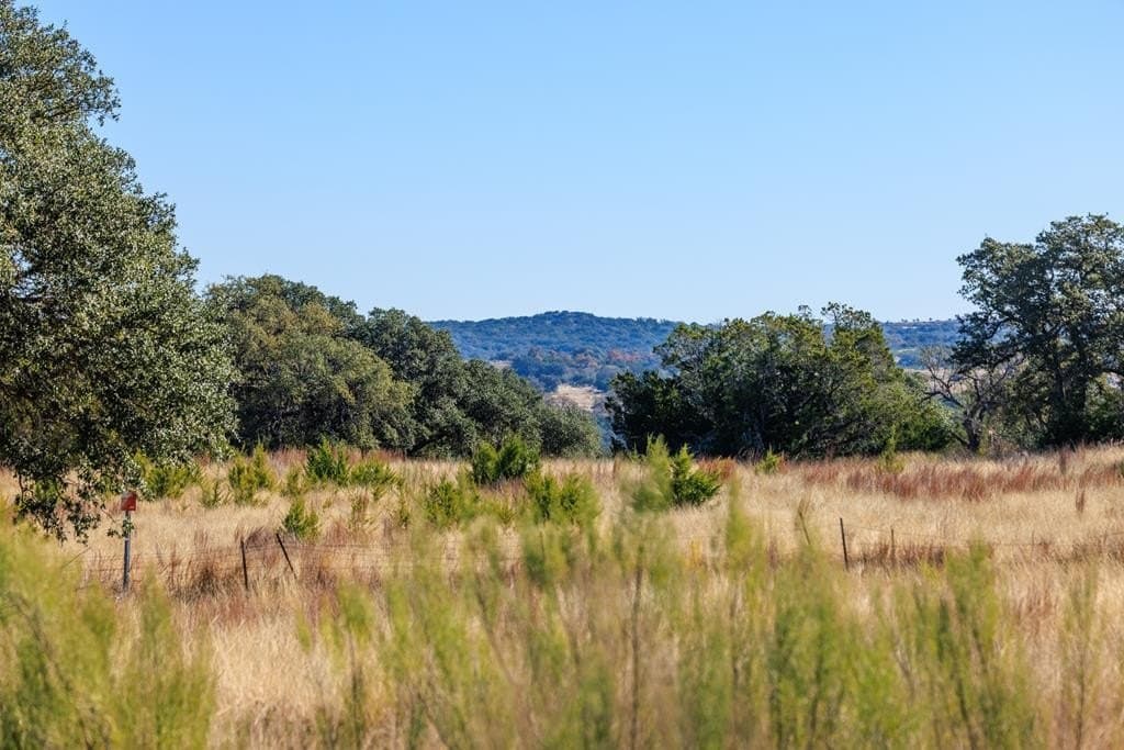 10 acres in Blanco County gallery image 2