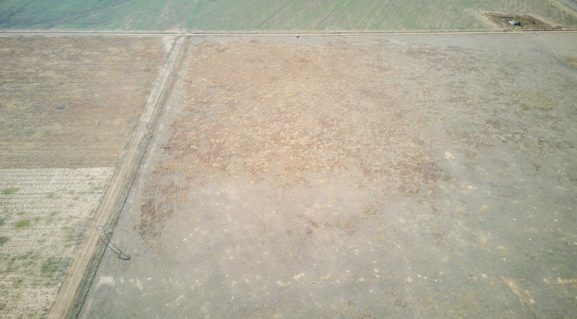 20 acres in Hale County - photo 13