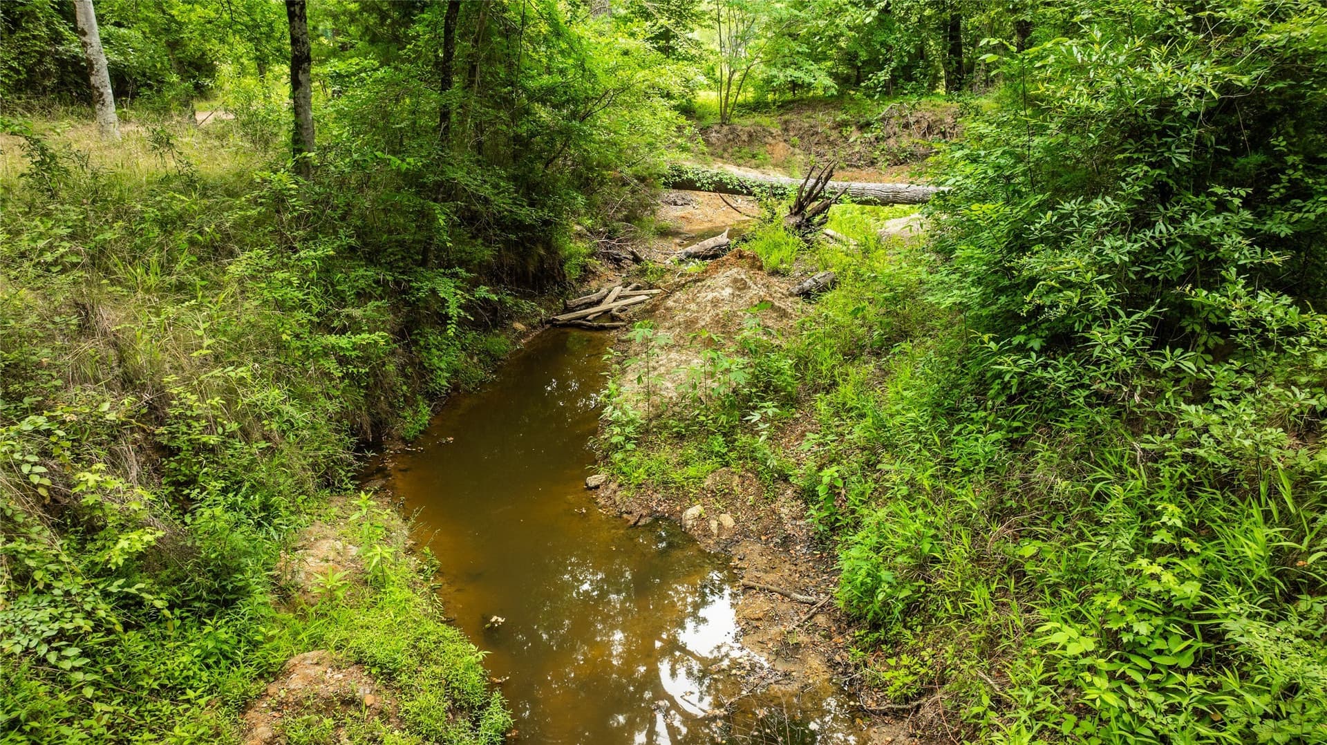 21.32 acres in Van Zandt County - photo 7