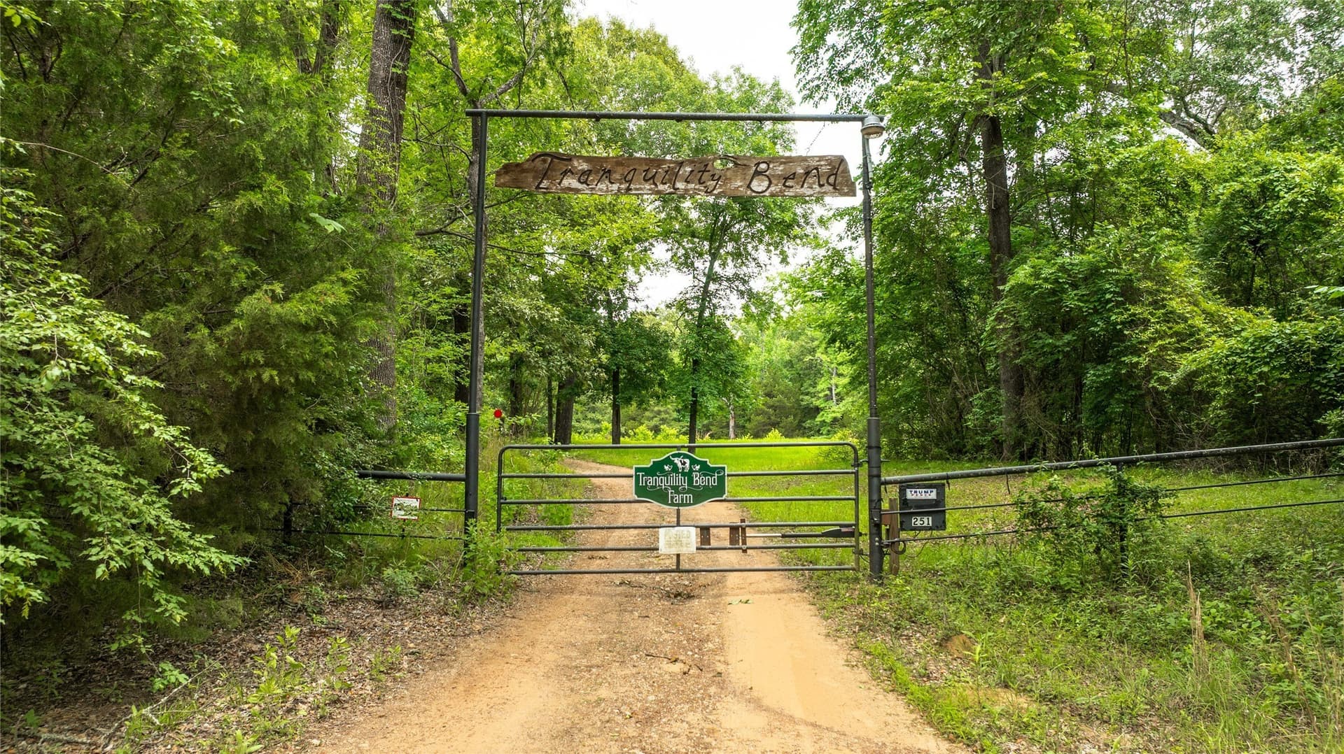 21.32 acres in Van Zandt County gallery image 3