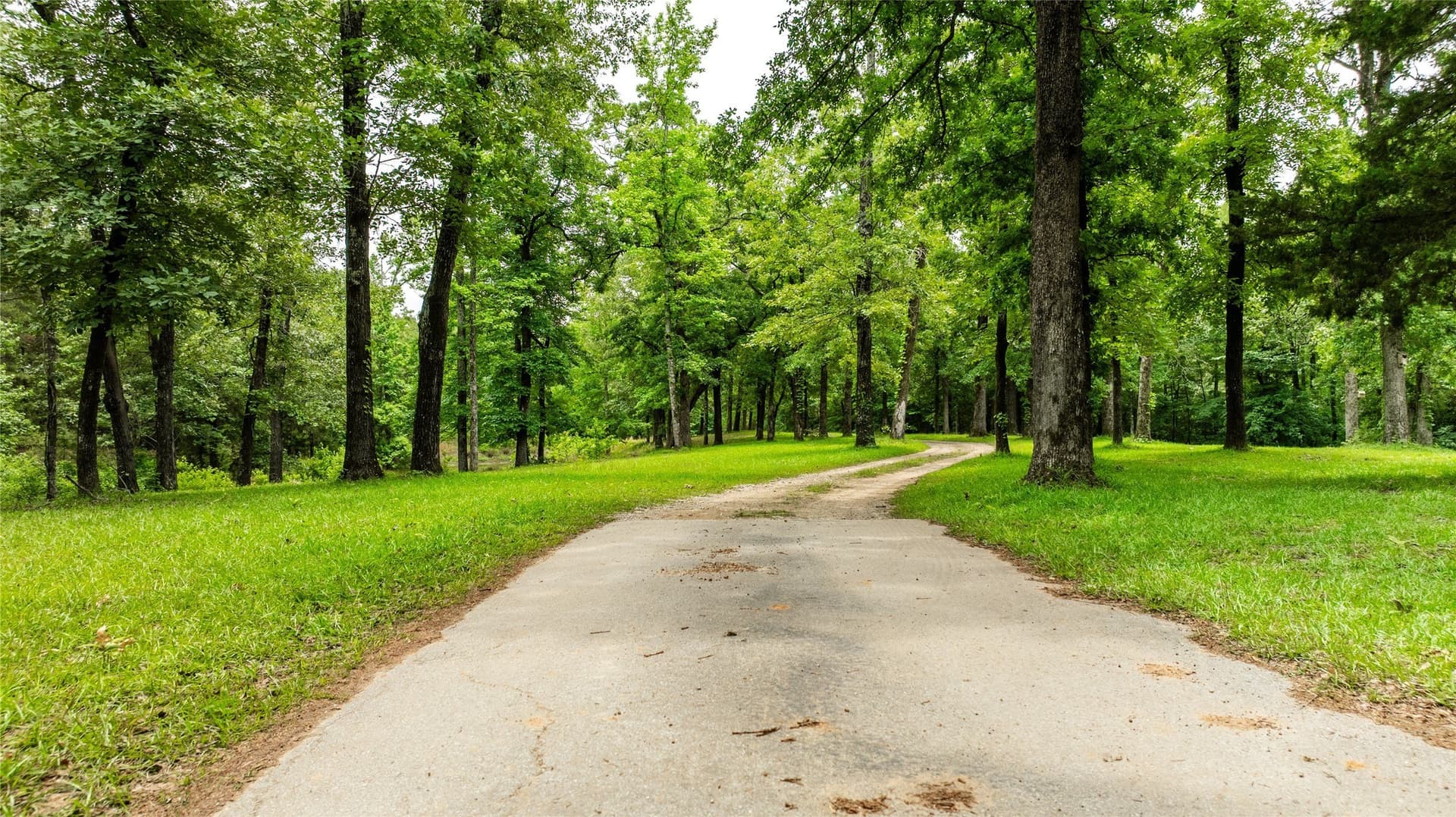 21.32 acres in Van Zandt County gallery image 4