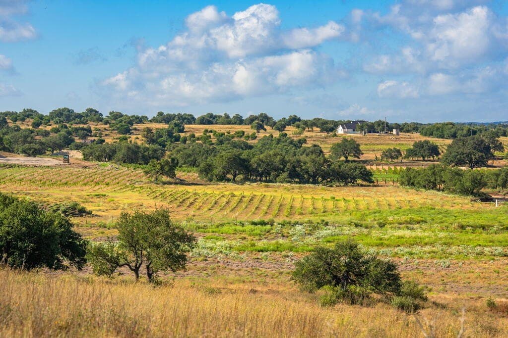 40 acres in Blanco County - photo 6
