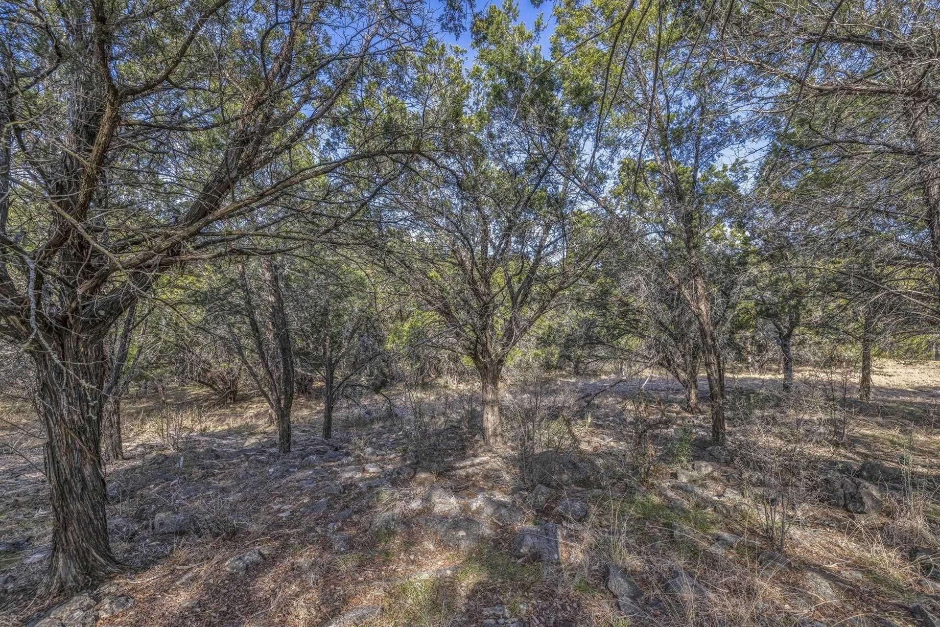 0.28 acres in Llano County - photo 8