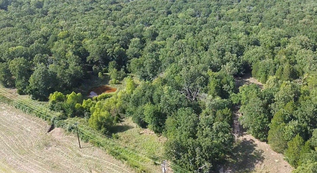 85 acres in Henderson County - photo 4