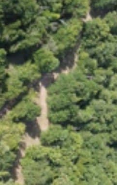 85 acres in Henderson County - photo 3