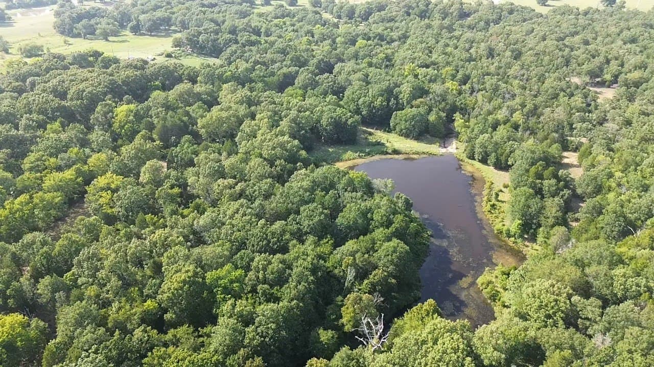 85 acres in Henderson County - photo 2