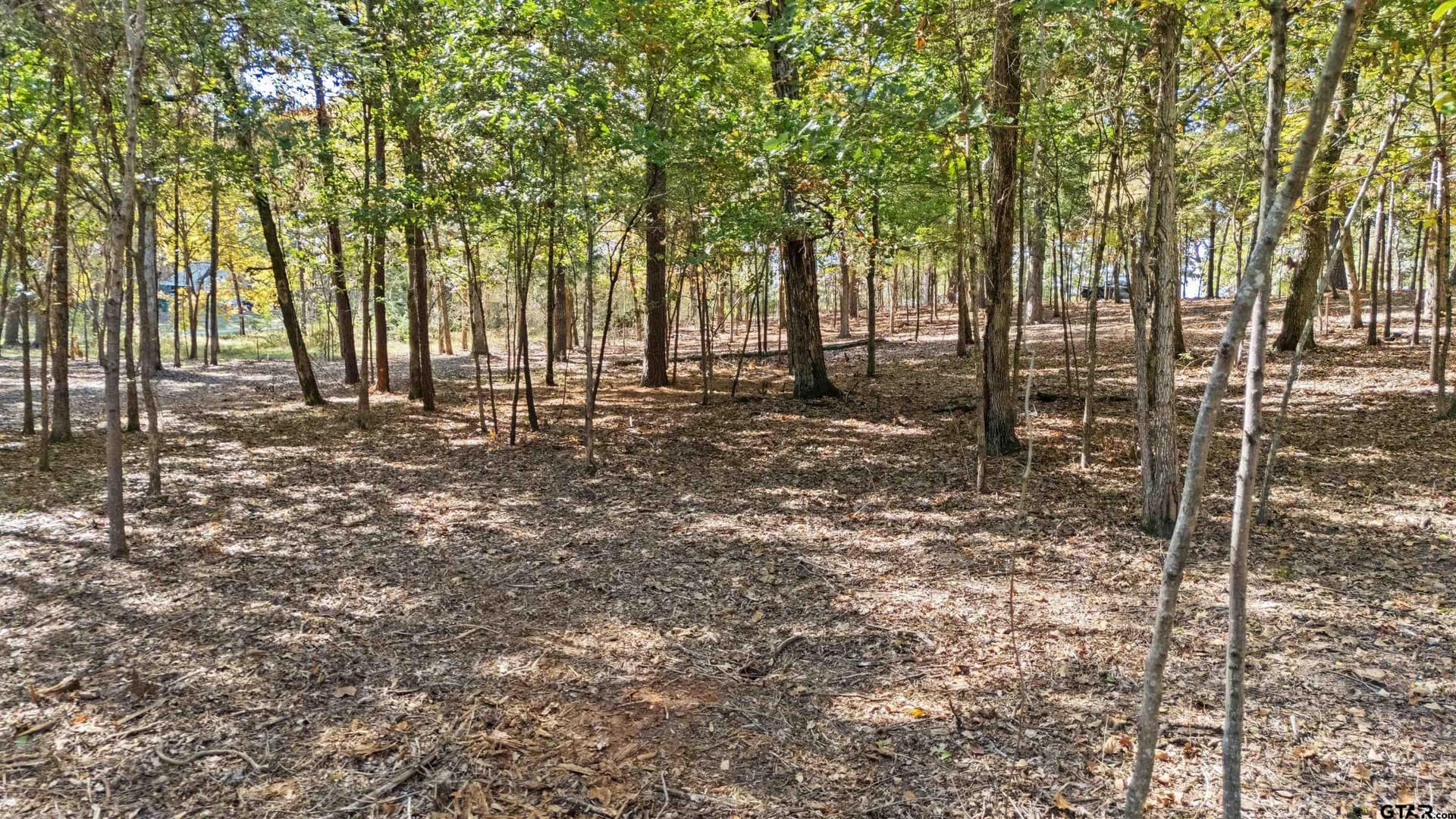1.57 acres in Smith County - photo 12