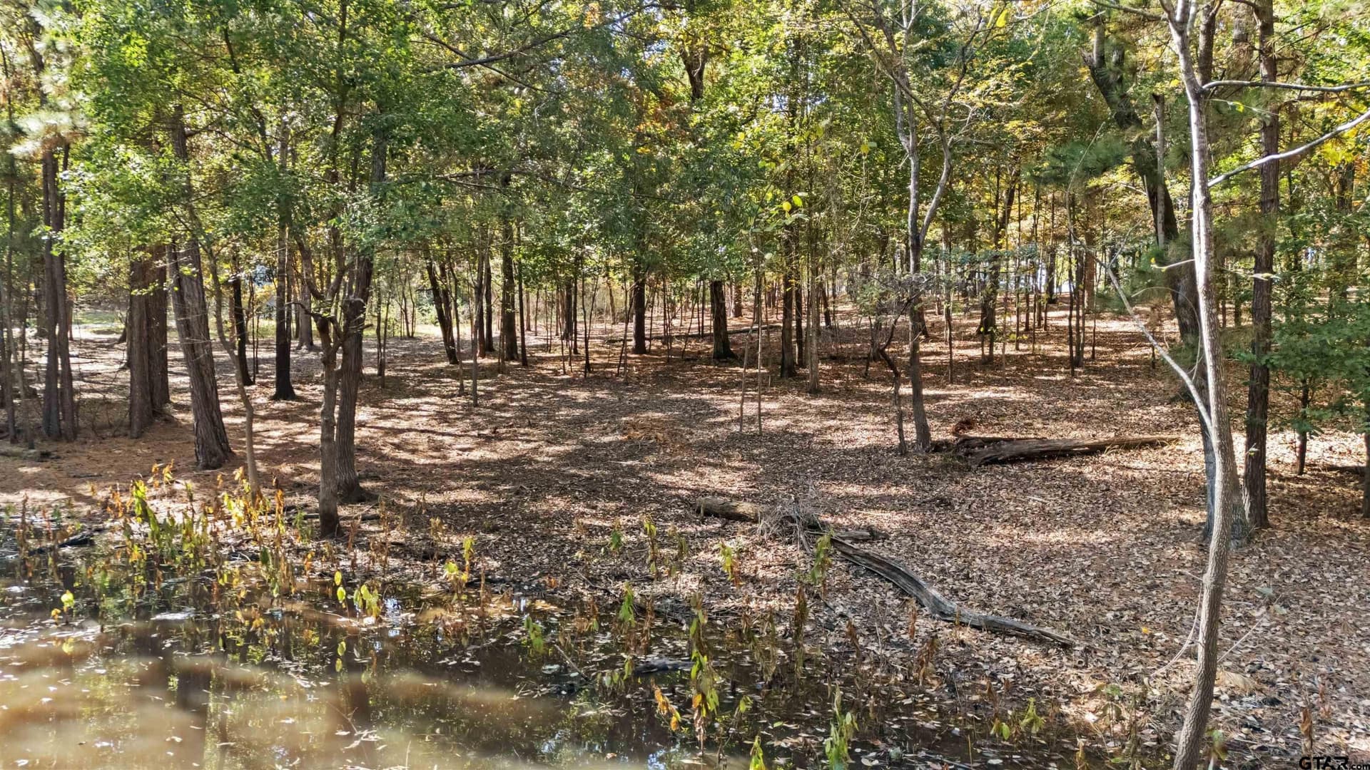 1.57 acres in Smith County - photo 13