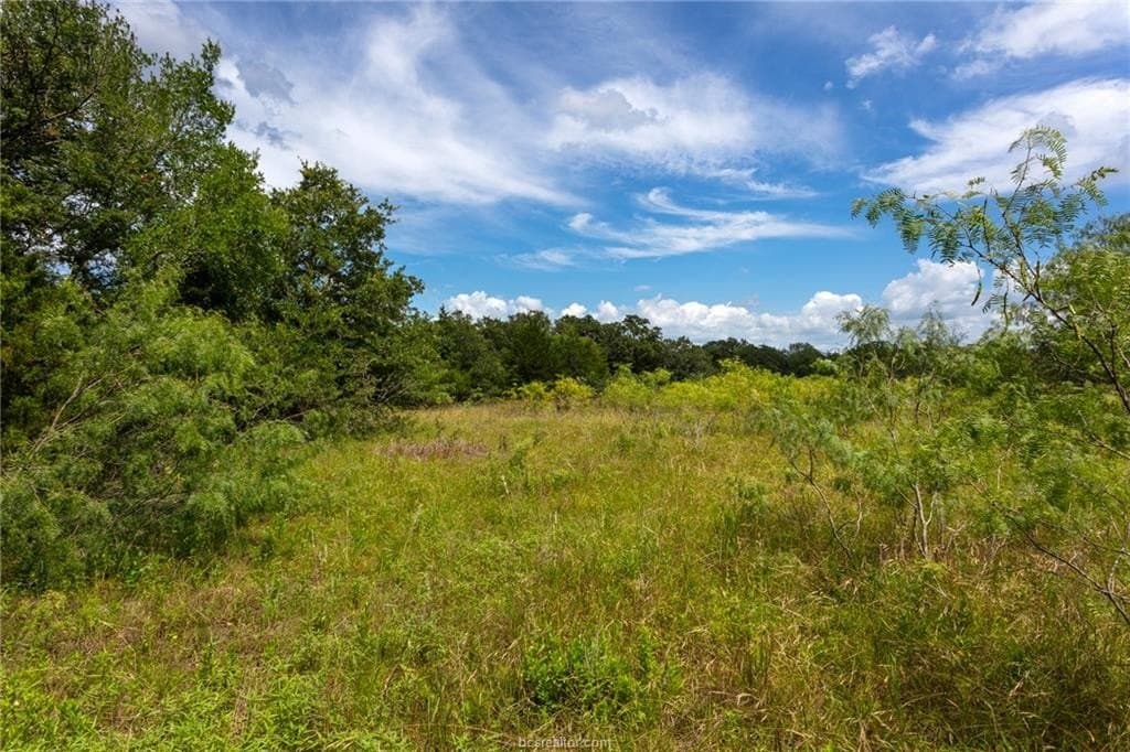 4.4 acres in Brazos County - photo 14