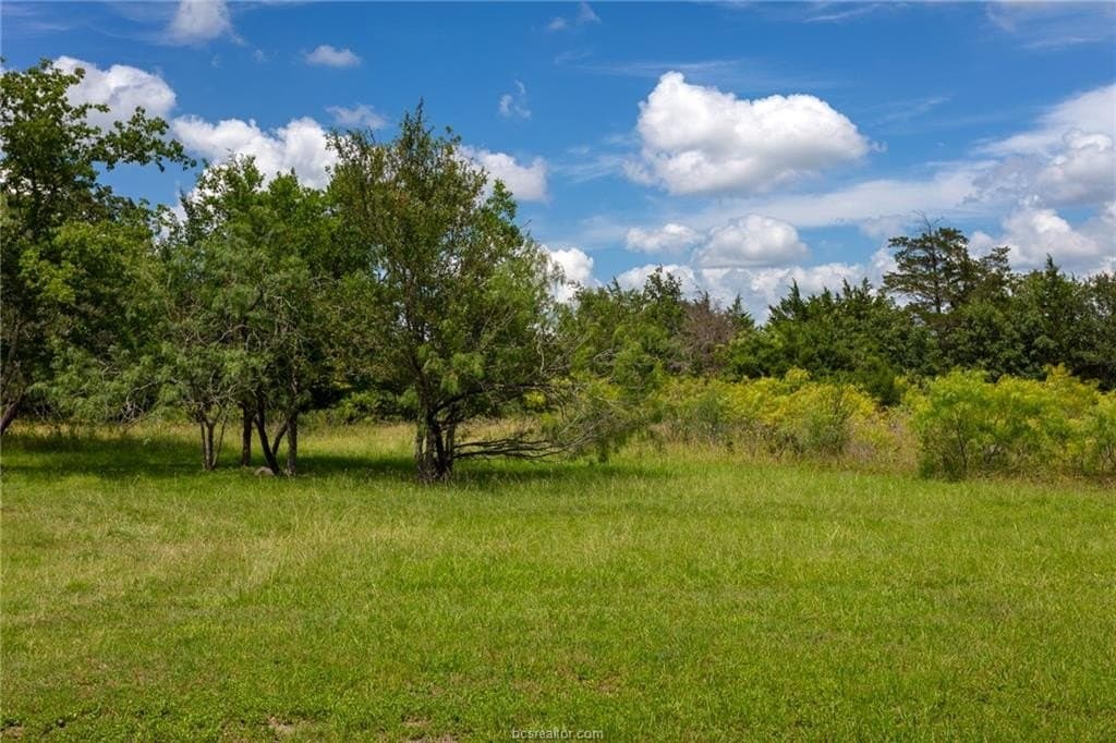 4.4 acres in Brazos County - photo 12