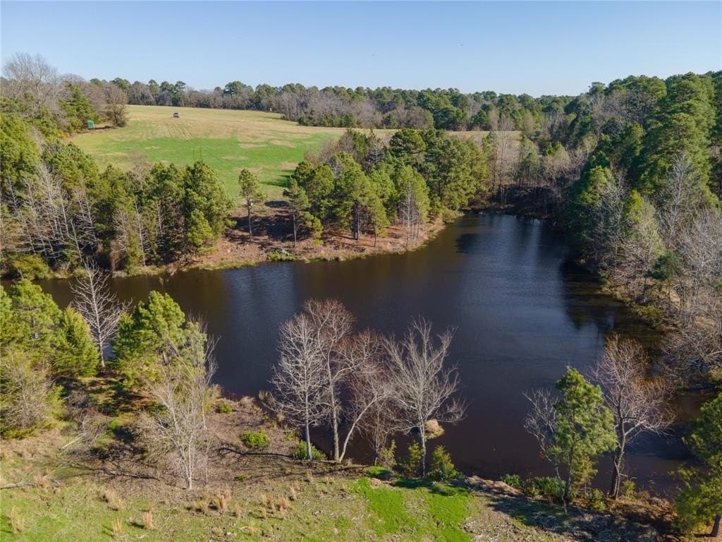 13.71 acres in Wood County gallery image 4