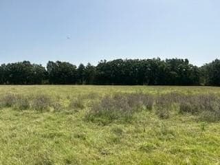 21.16 acres in Hunt County gallery image 3