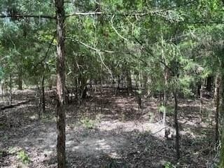 21.16 acres in Hunt County gallery image 4