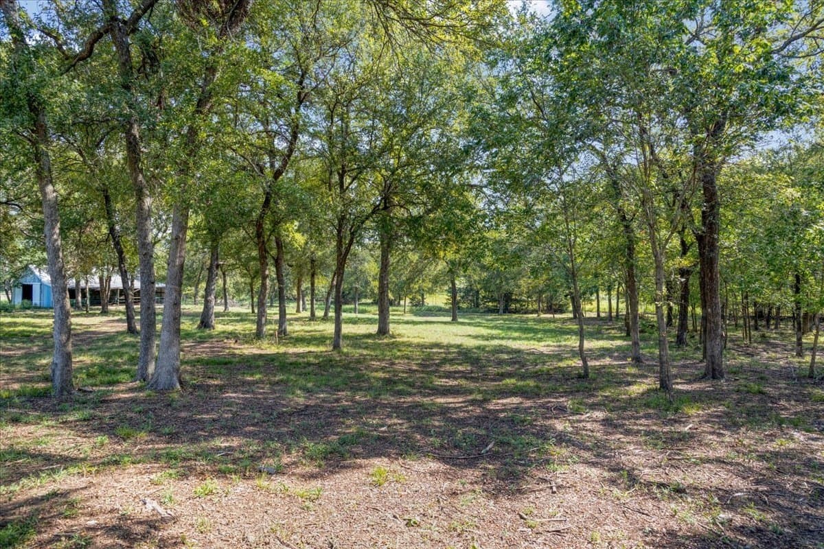 2 acres in Grayson County - photo 8