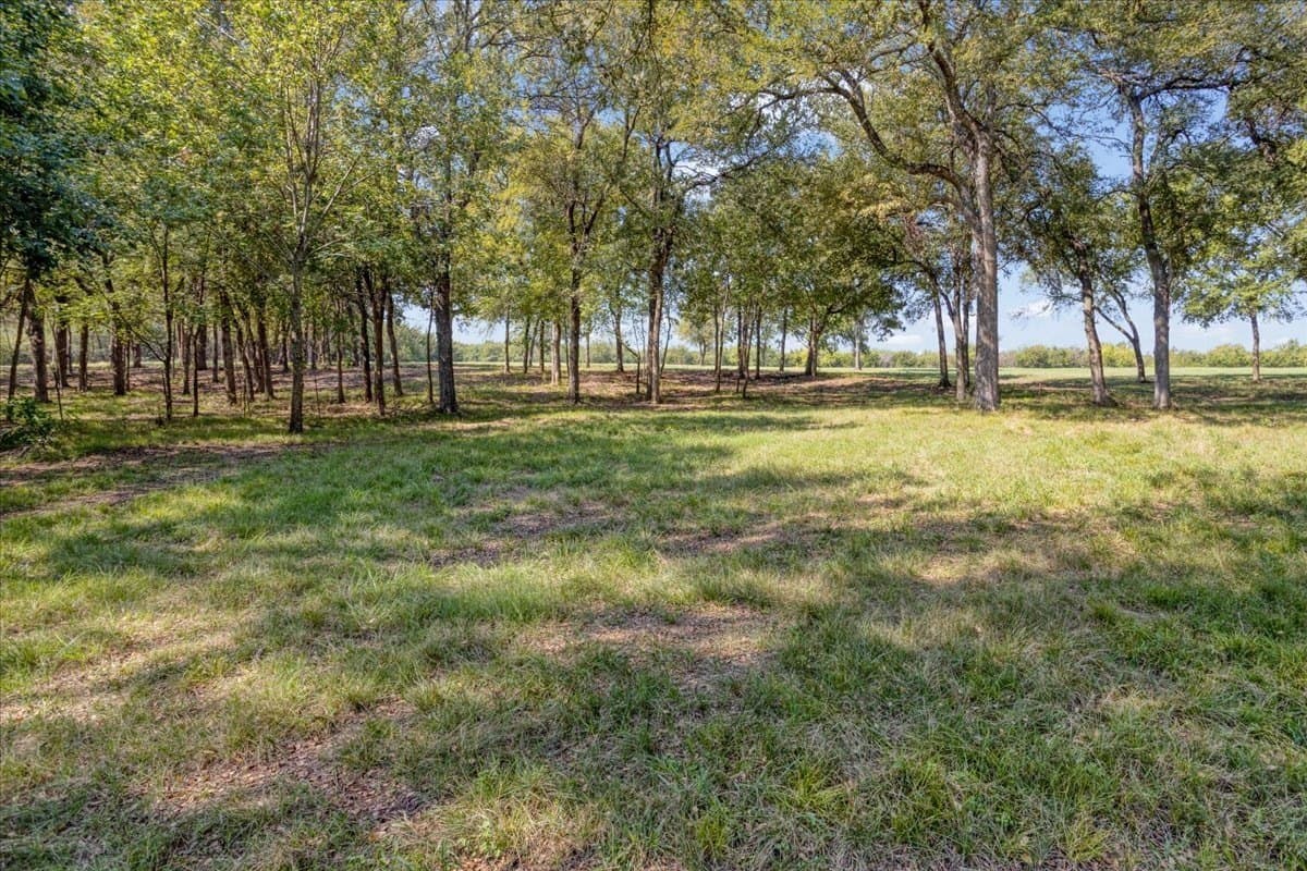 2 acres in Grayson County - photo 7