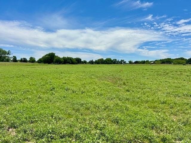 18.2 acres in Limestone County gallery image 3