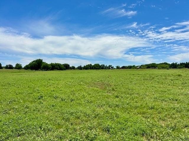 18.2 acres in Limestone County gallery image 2