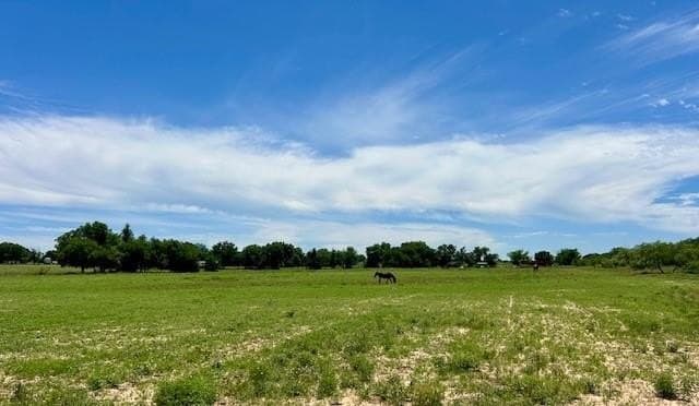 18.2 acres in Limestone County gallery image 4