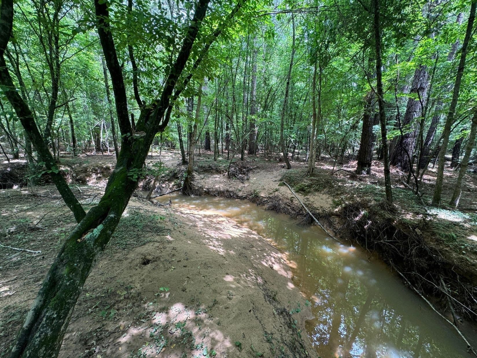 8.42 acres in Marion County - photo 5