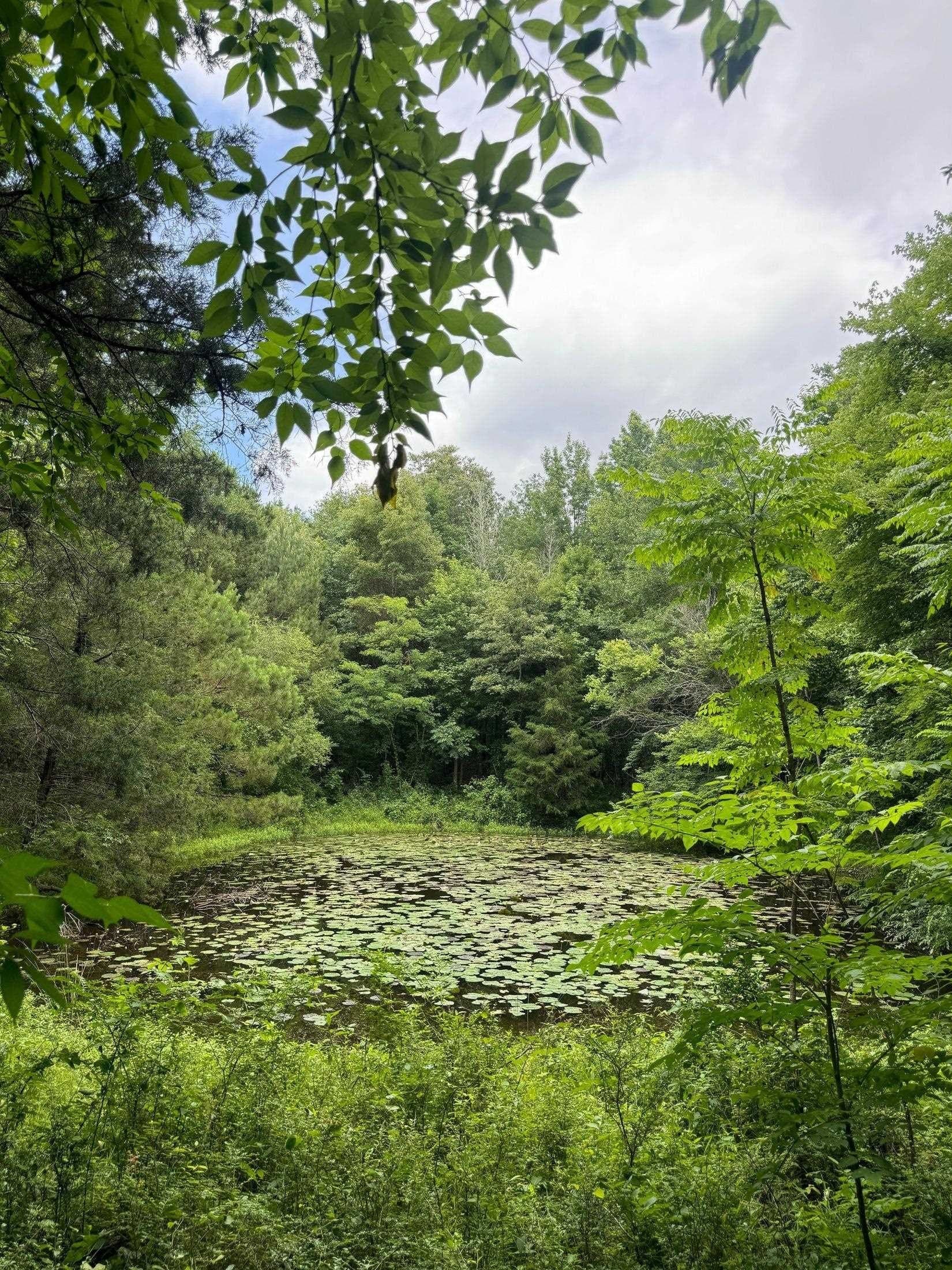 8.42 acres in Marion County - photo 13