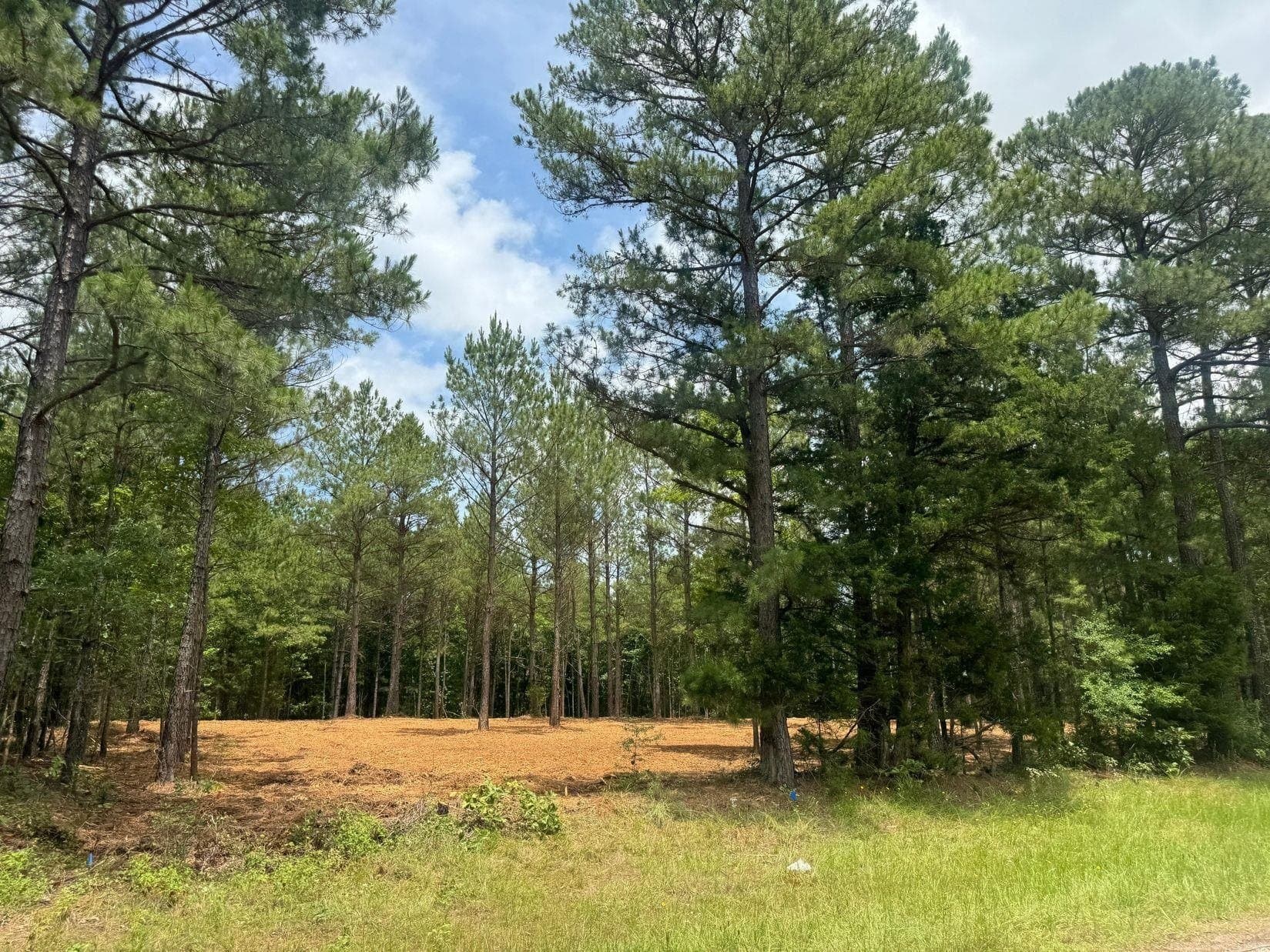 8.42 acres in Marion County - photo 6