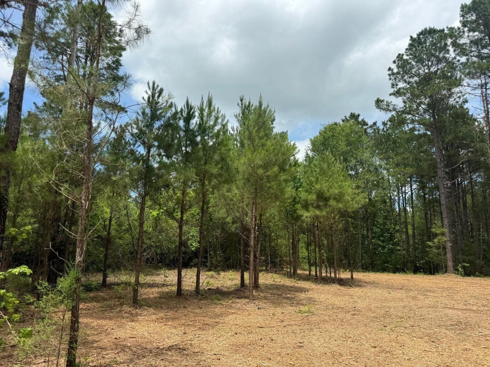 8.42 acres in Marion County - photo 10