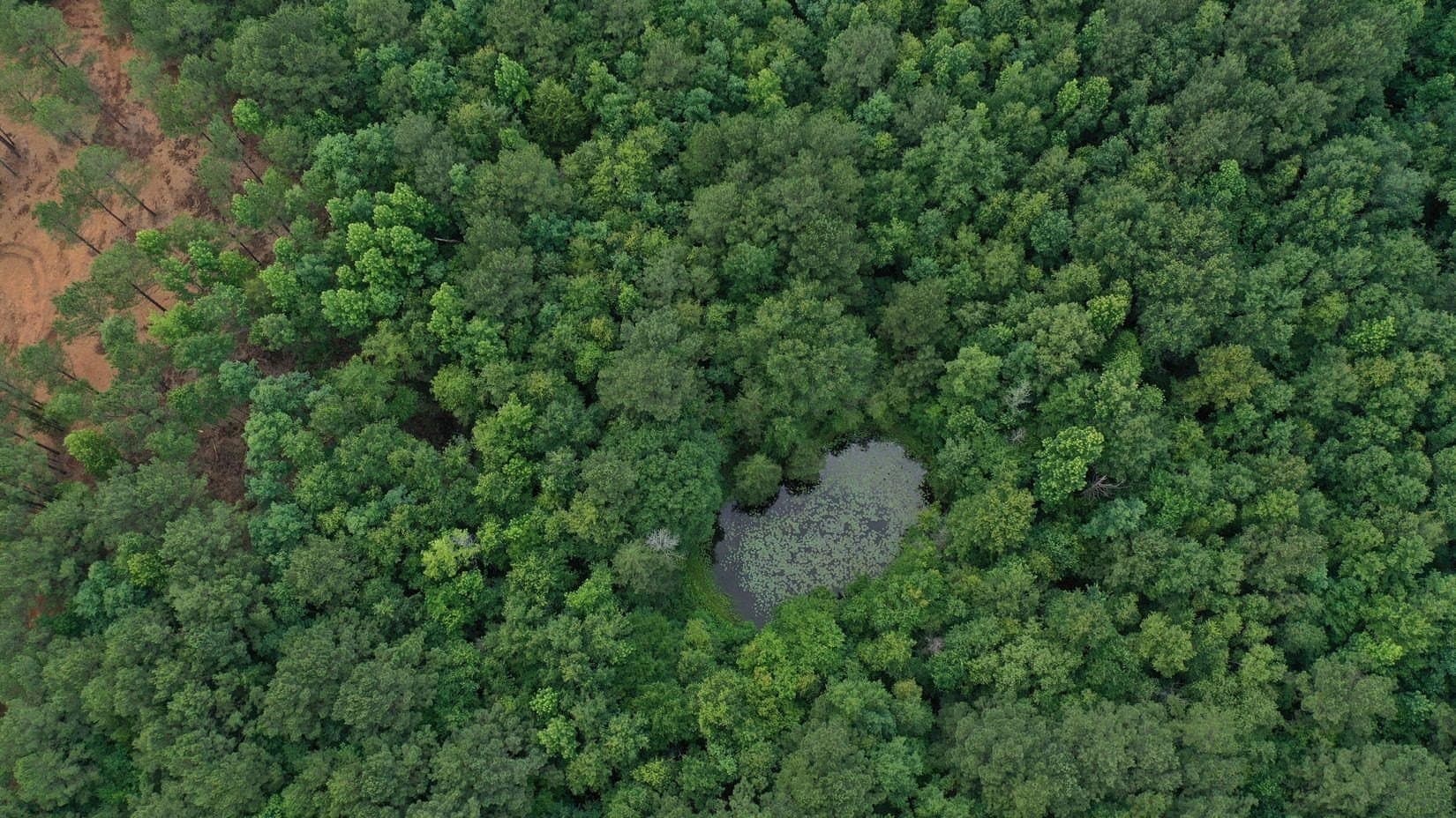 8.42 acres in Marion County - photo 3