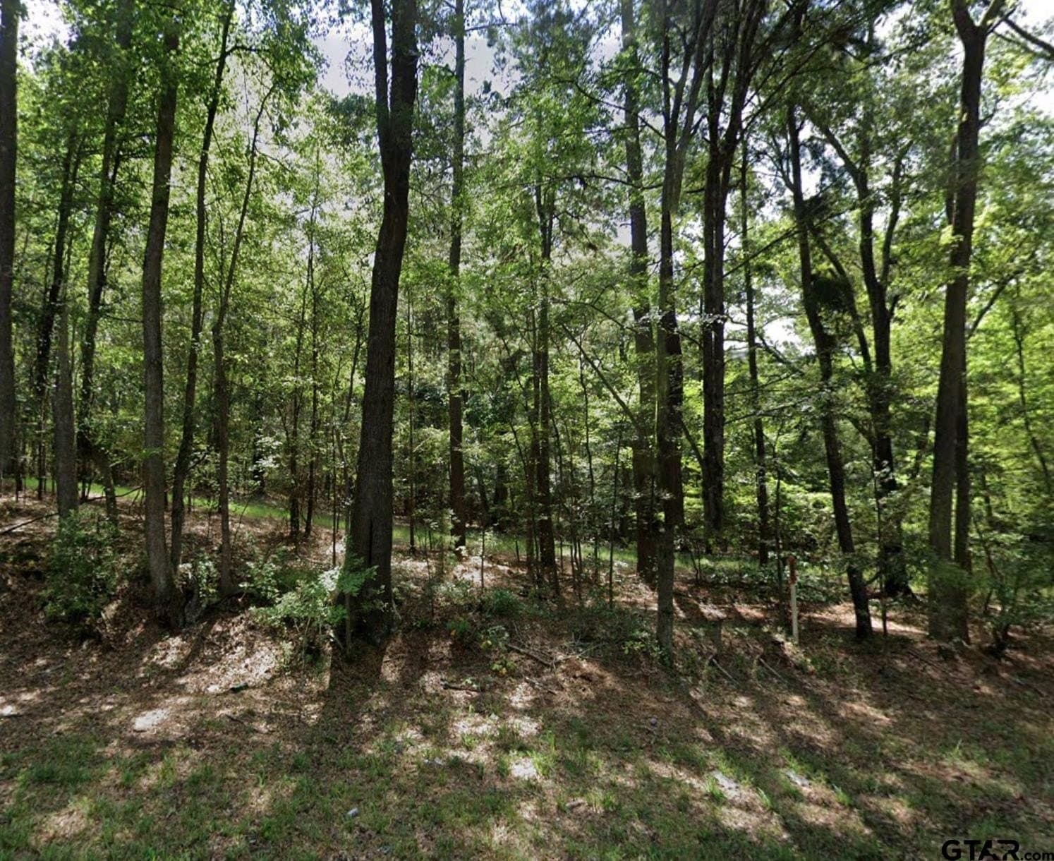 0.19 acres in Harrison County gallery image 4