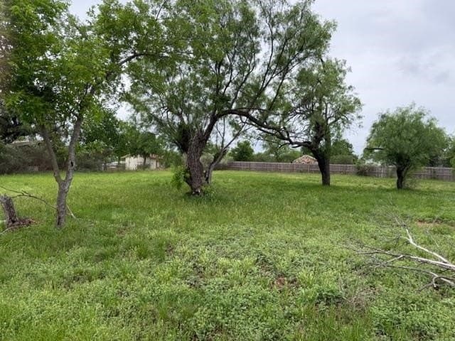 0.89 acres in Llano County gallery image 3