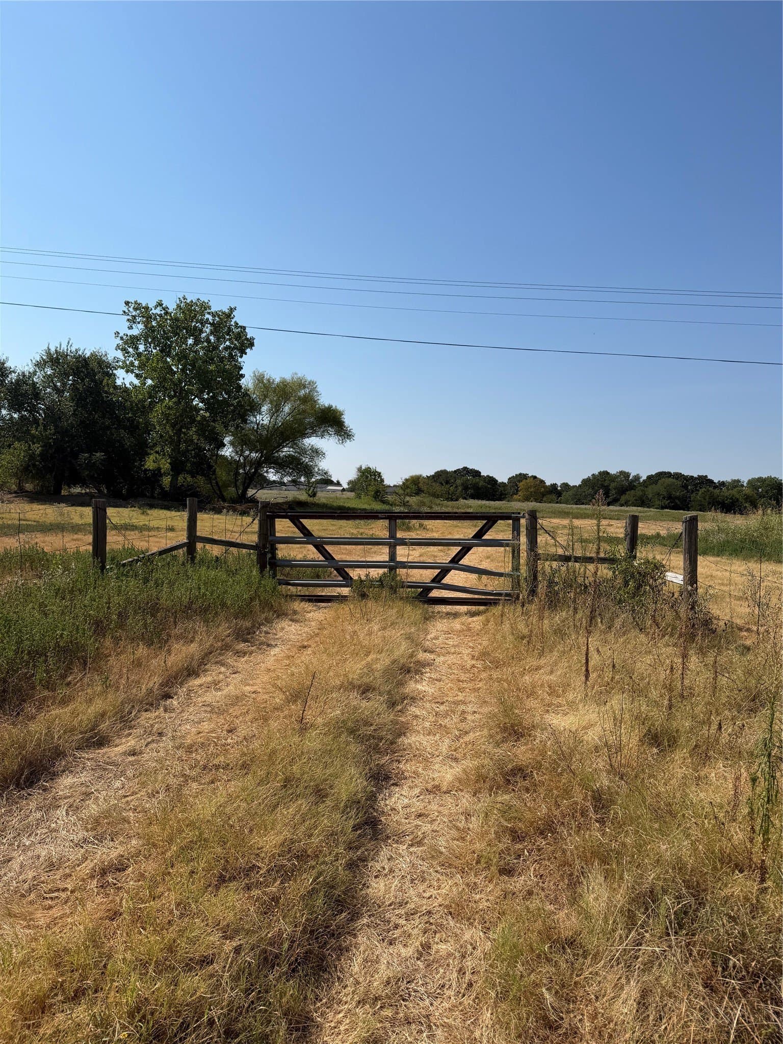 31 acres in Hunt County