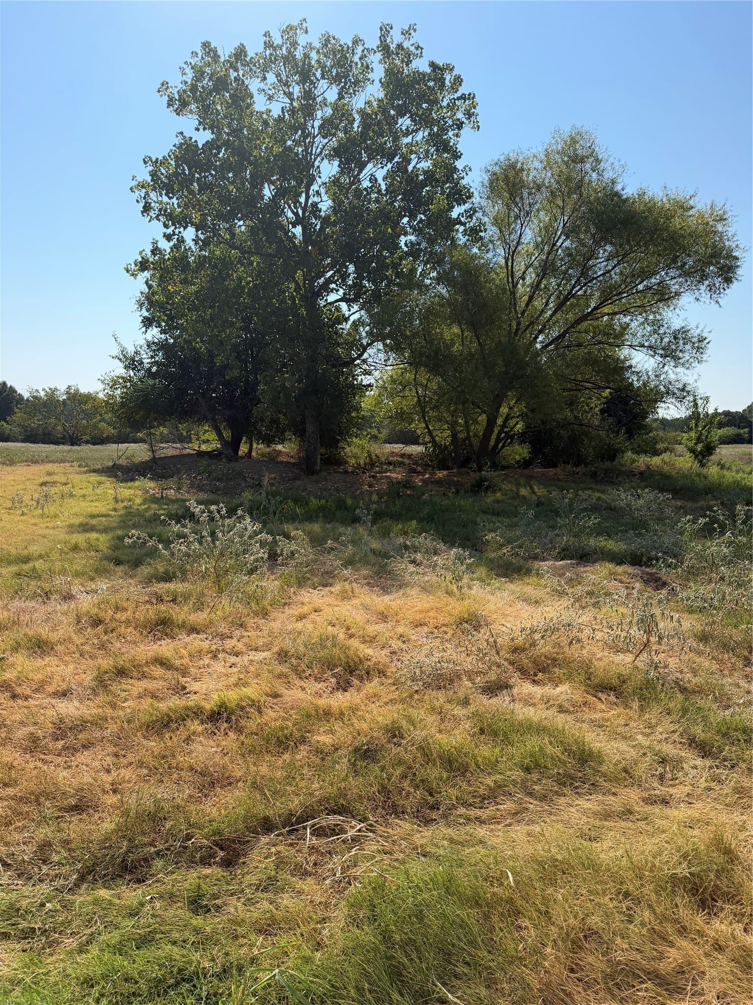 31 acres in Hunt County - photo 12