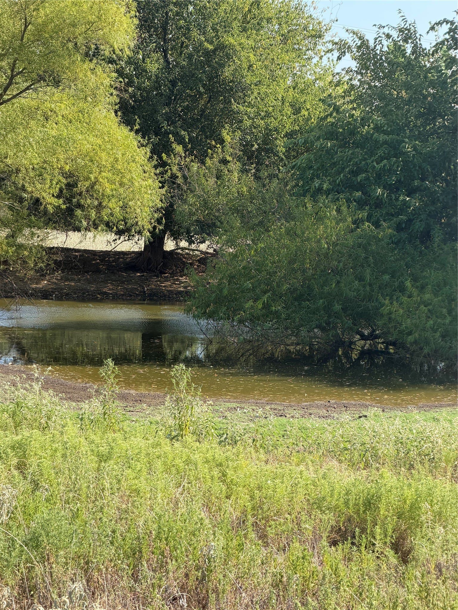 31 acres in Hunt County - photo 5