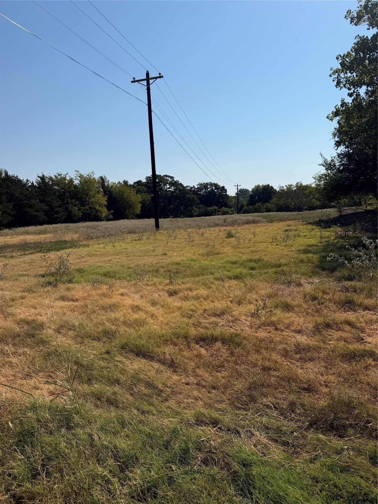 31 acres in Hunt County - photo 11