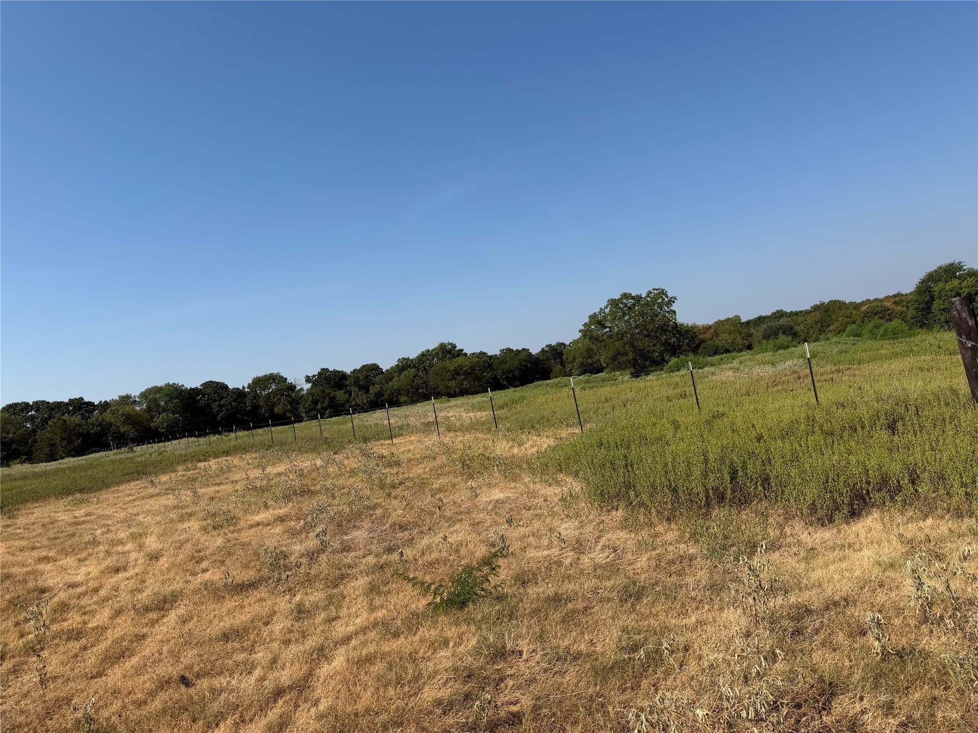 31 acres in Hunt County - photo 8
