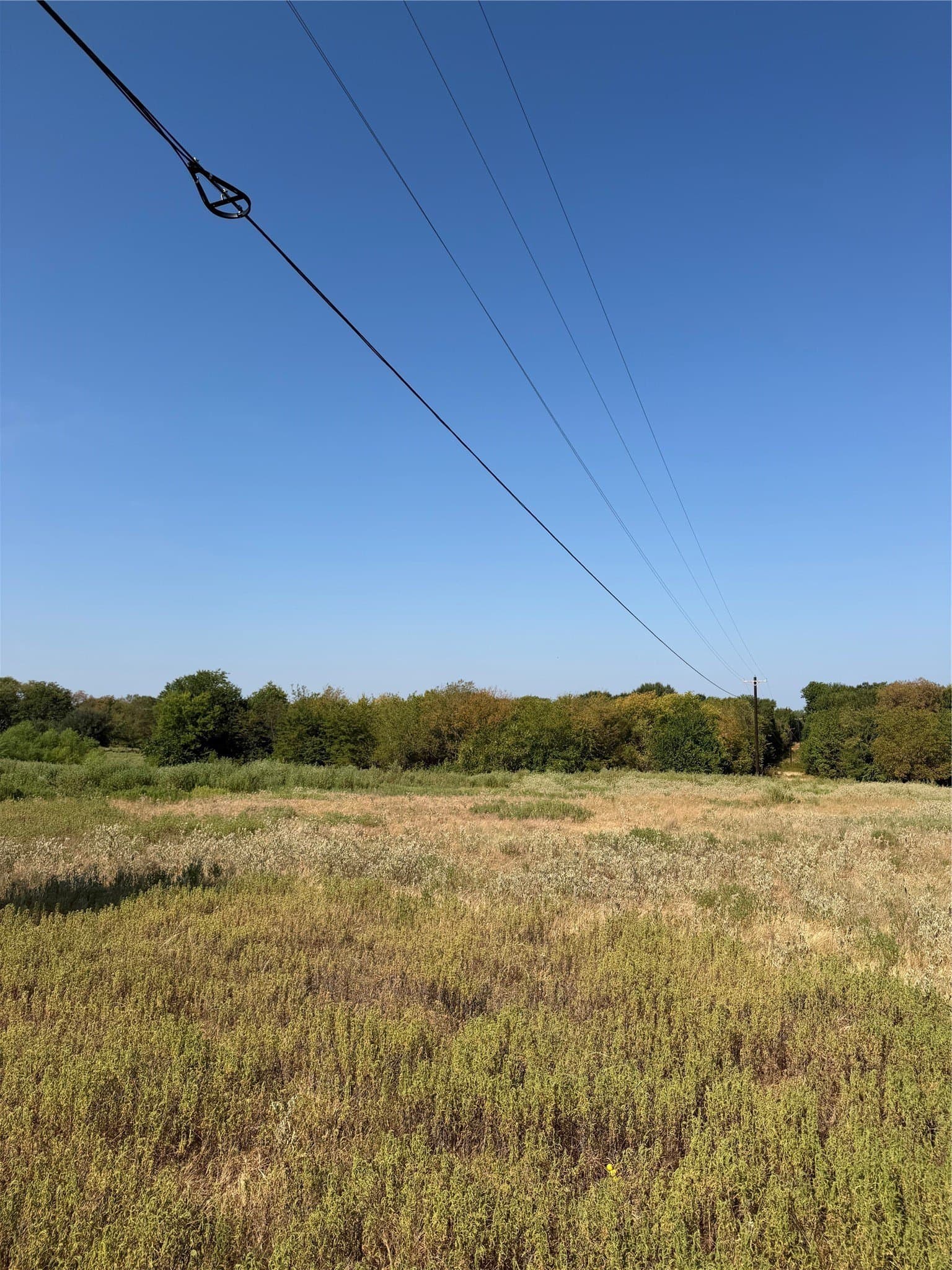 31 acres in Hunt County - photo 6