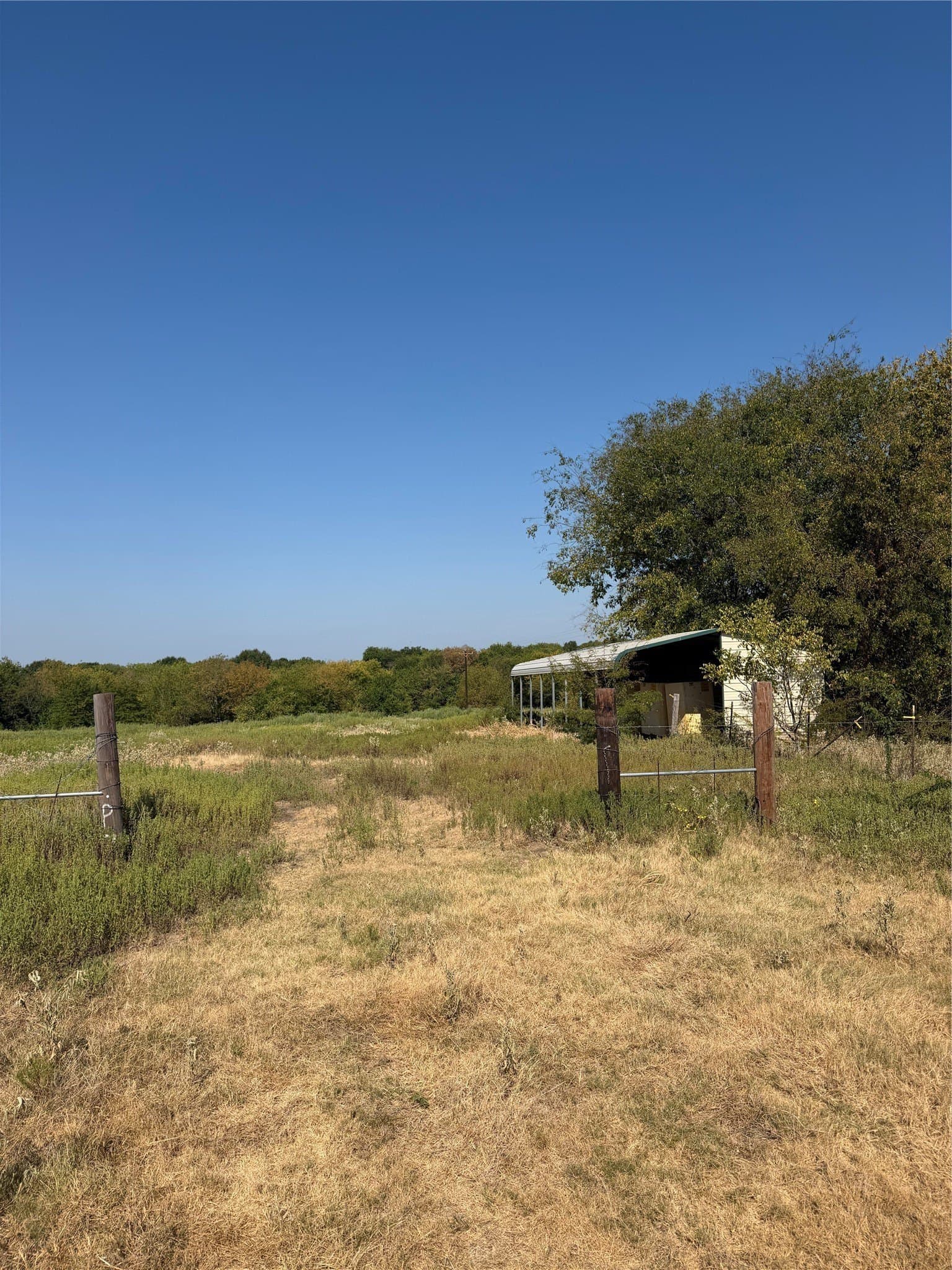 31 acres in Hunt County - photo 9