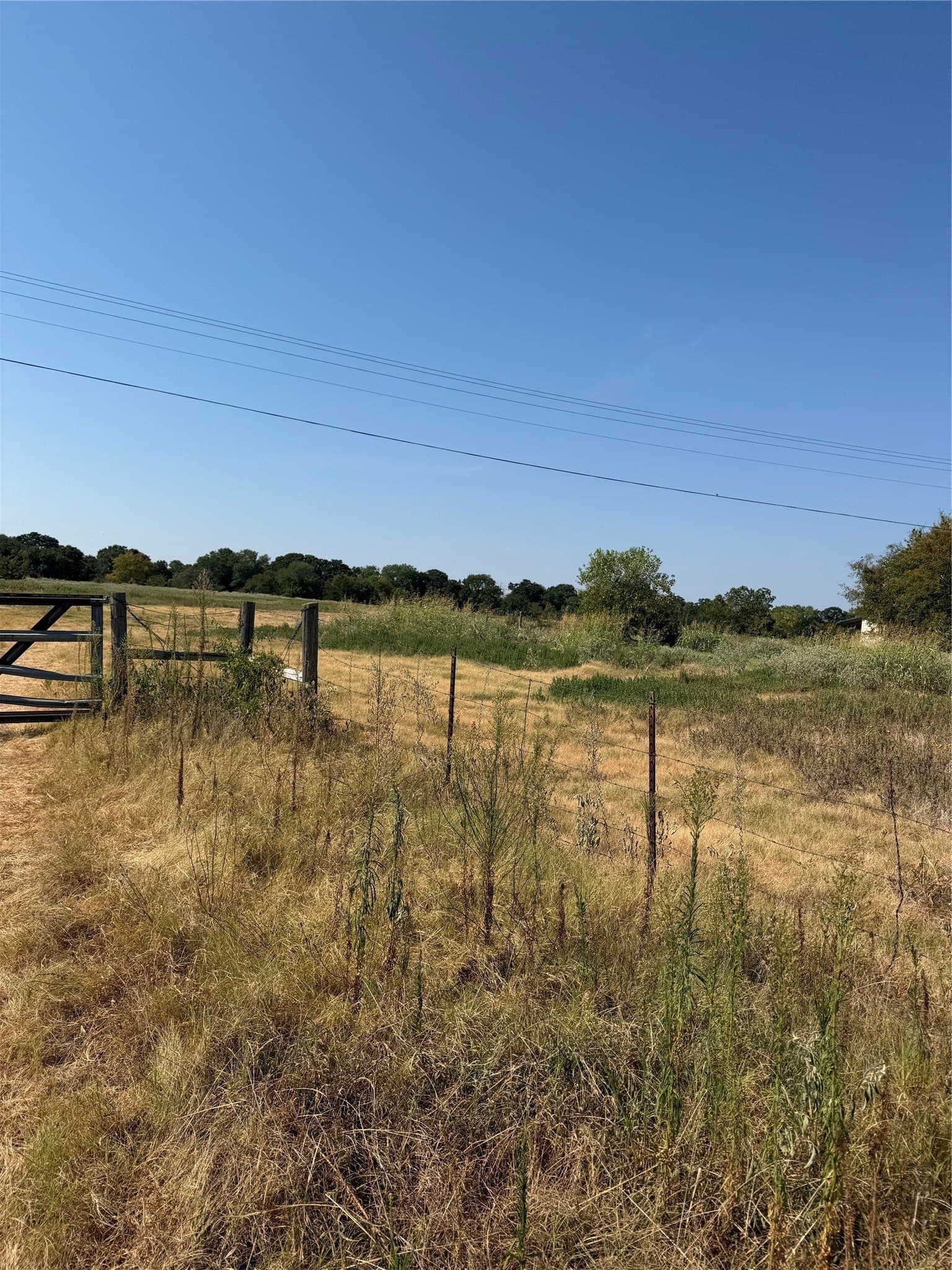 31 acres in Hunt County - photo 3