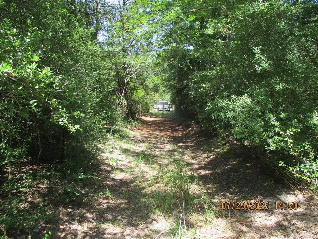 26.05 acres in Limestone County