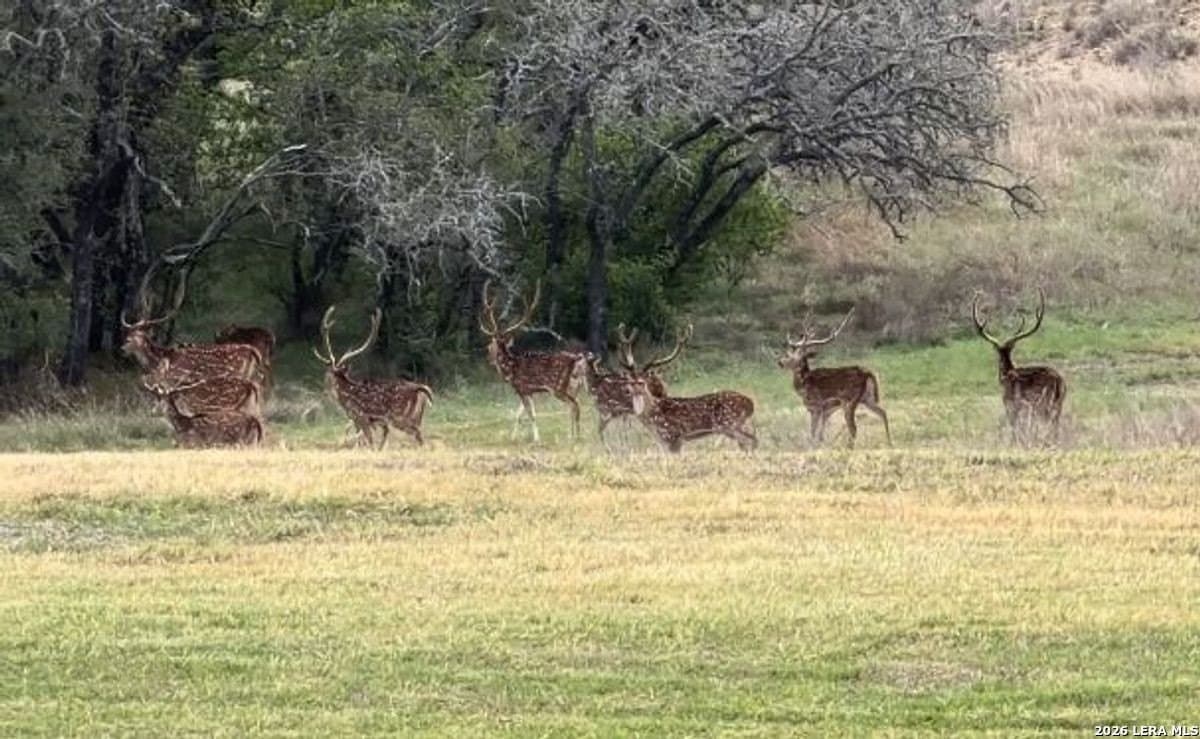 500 acres in Kendall County - photo 27
