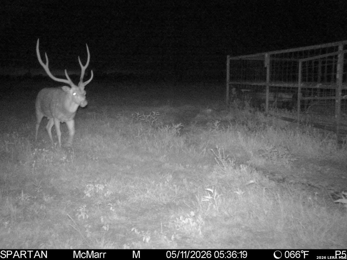 500 acres in Kendall County - photo 47