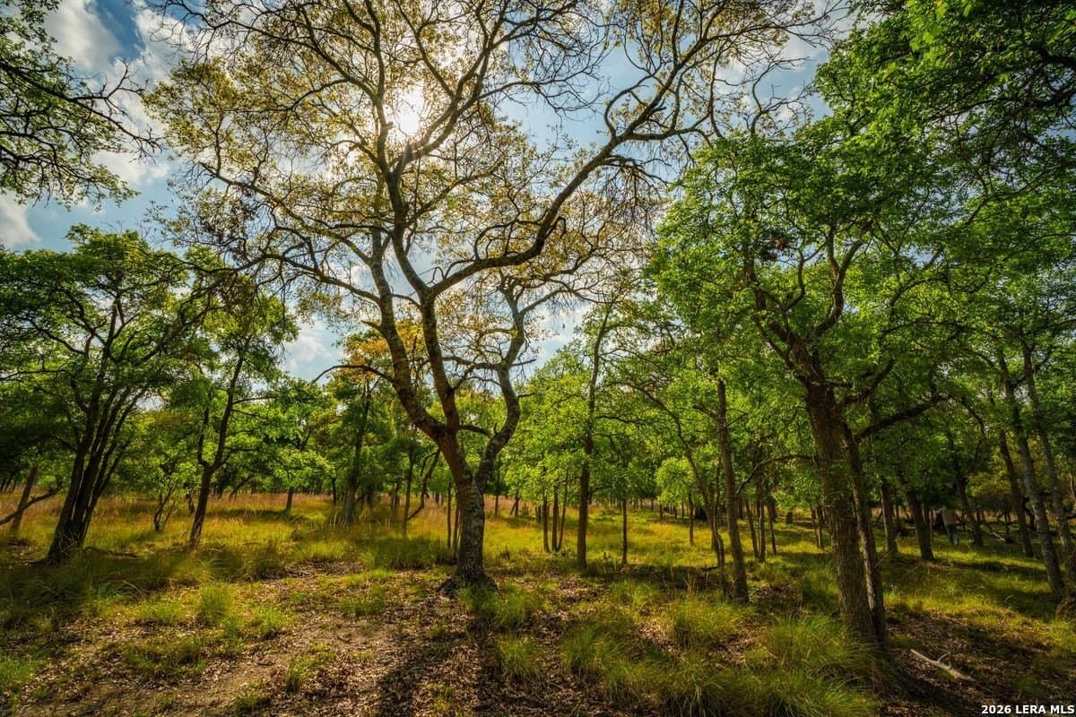 500 acres in Kendall County - photo 21